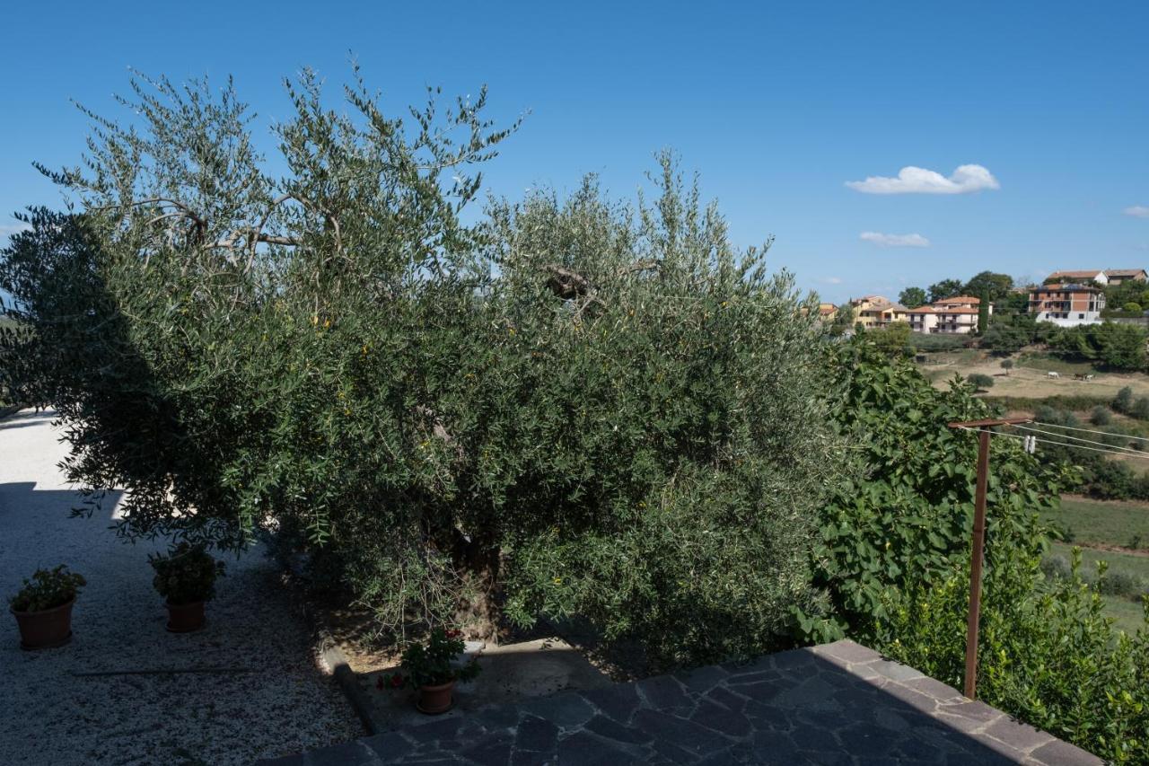 La Casa Di Sara Apartment Città della Pieve Exterior foto